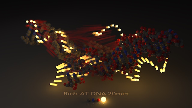 Rich-AT DNA 20mer