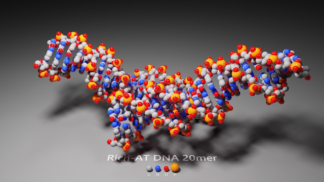 Rich-AT DNA 20mer